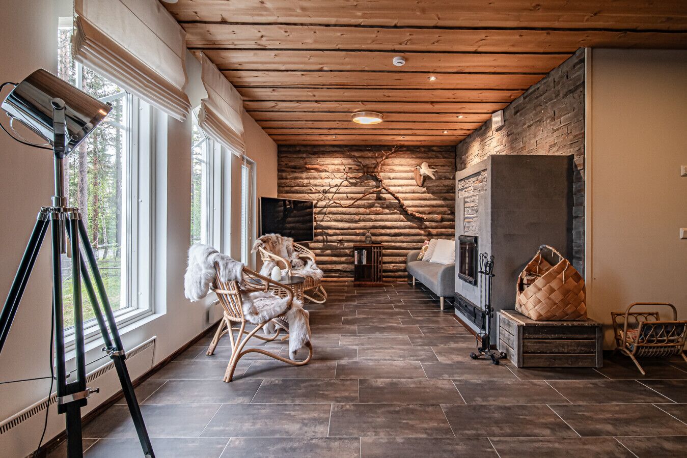 Fernseher, Kamin, Stereoanlage