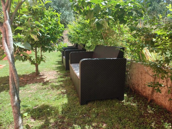 A garden area with outdoor seating and a pathway. - Casa dos Fetos - Rural vacation home in Portugal (Espite)