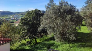 A view of a green landscape with trees and a distant village. - Casa dos Fetos - Rural vacation home in Portugal (Espite)