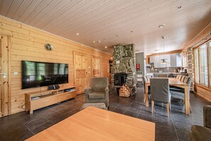 Smart-TV, Kamin
