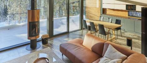 TV, fireplace, video games, stereo