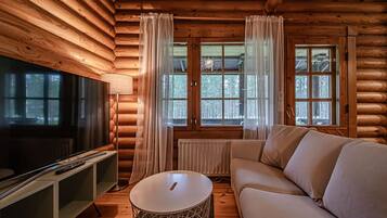 Télévision, cheminée