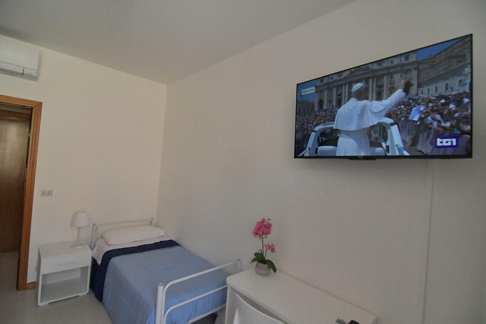 Una habitación de hotel con cama, mesita de noche, televisor montado en la pared y una pequeña planta en maceta.