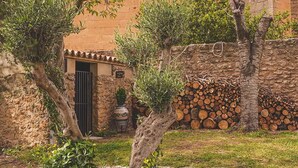 A rustic courtyard with a stone wall, a wooden door, and a pile of firewood. - Hotel Boutique Palacio de la Duquesa (Ronda)