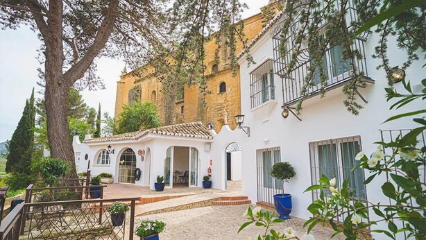 A courtyard with a white building, a stone pathway, and potted plants. - Hotel Boutique Palacio de la Duquesa (Ronda)