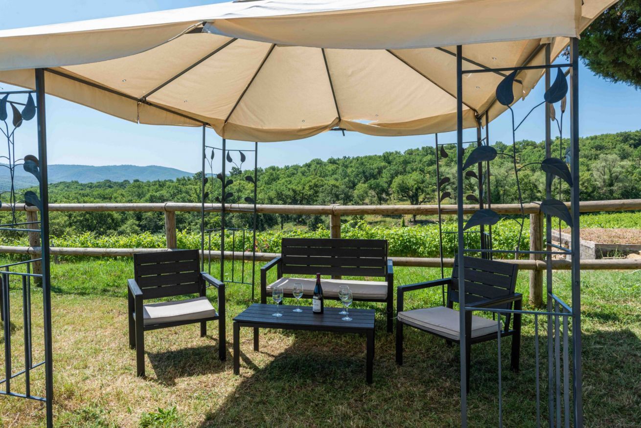 Un espace extérieur aménagé avec une table, des chaises et un auvent.