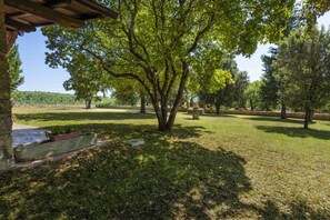 A stone building with a covered porch, a large tree in the foreground, and a grassy area with trees in the background.