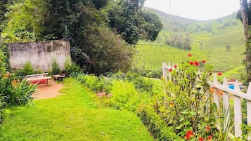 A lush garden with a variety of plants and flowers, a white fence, and a view of a green hillside in the background.