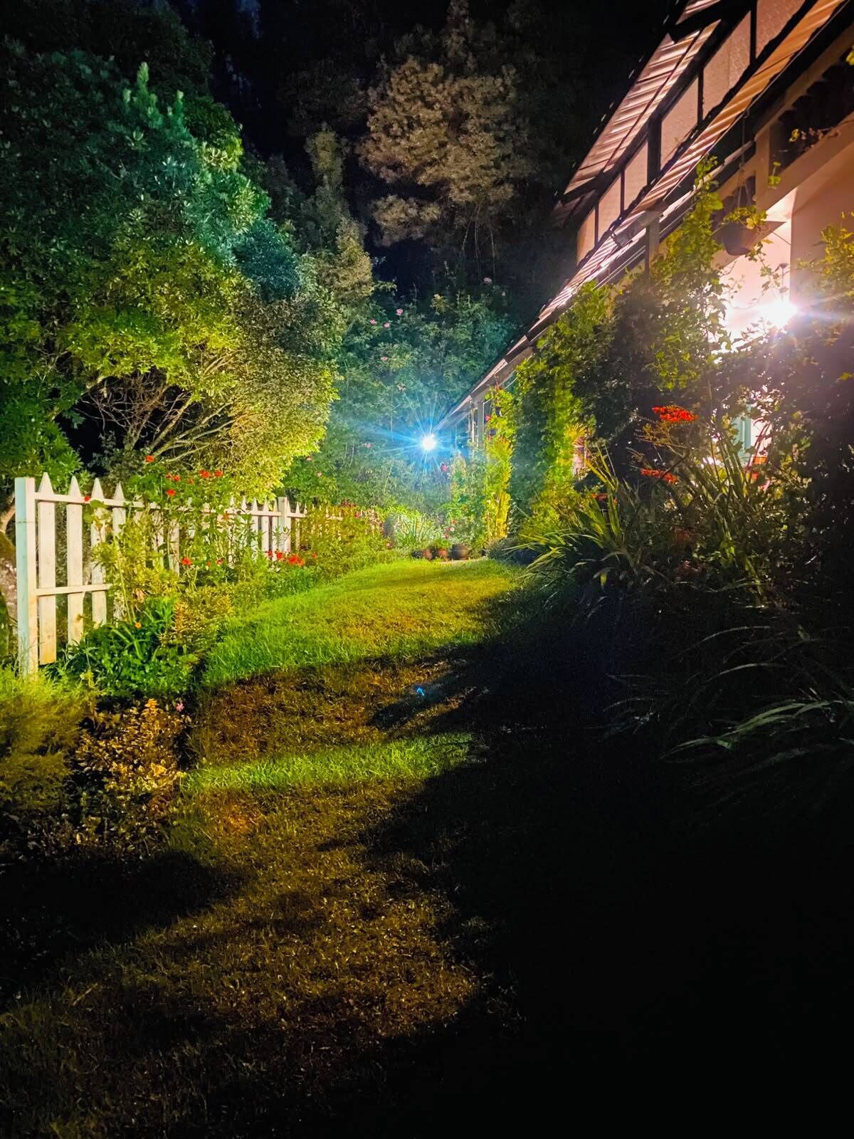 Garden view
