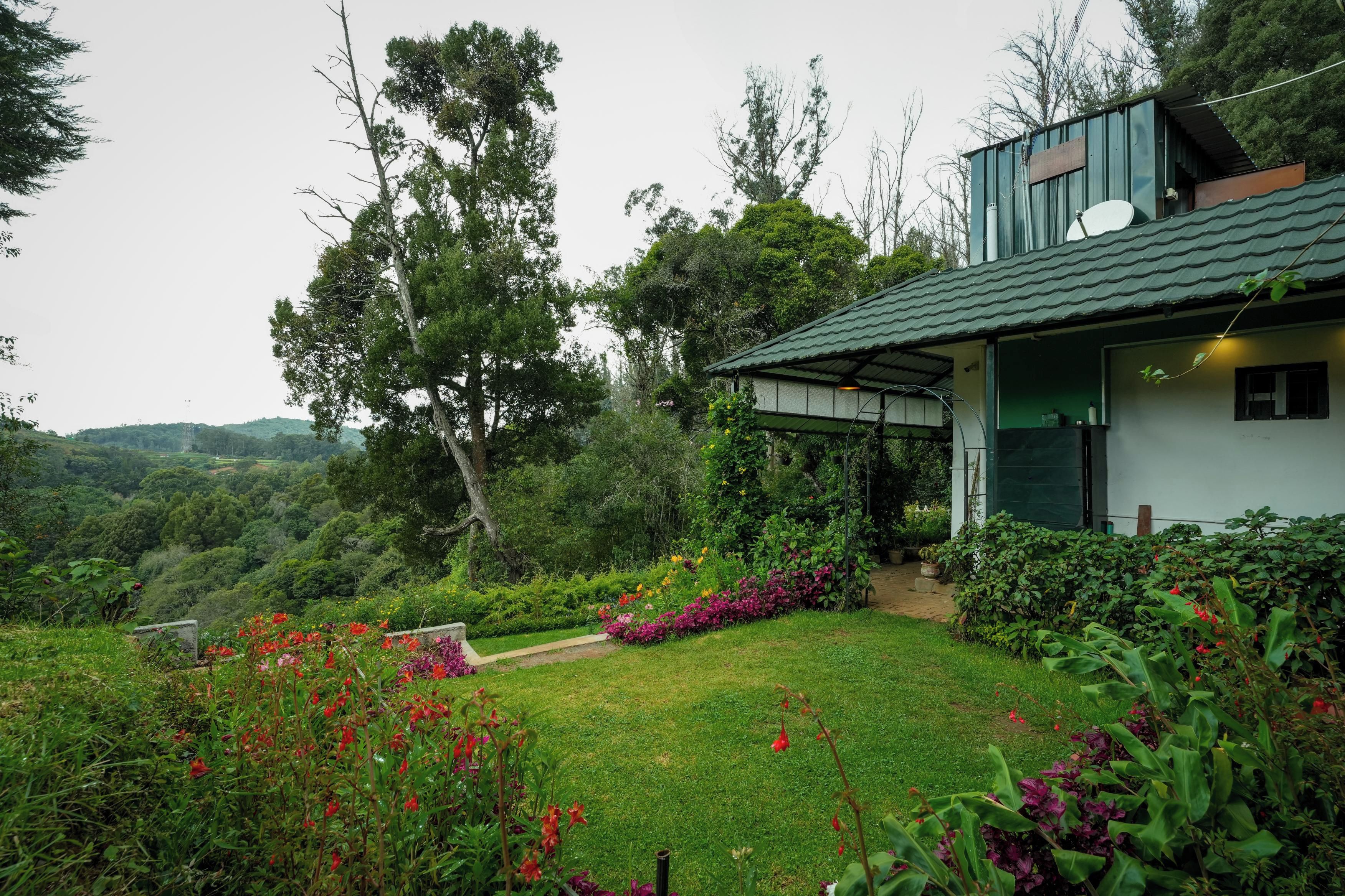A house with a green roof, surrounded by lush greenery and flowering plants.