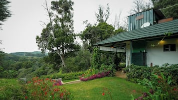 A house with a green roof, surrounded by lush greenery and flowering plants.