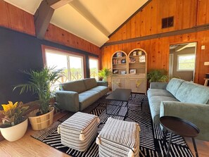 TV connectée, cheminée, livres