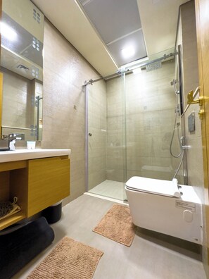 Shower, hair dryer, bidet, towels