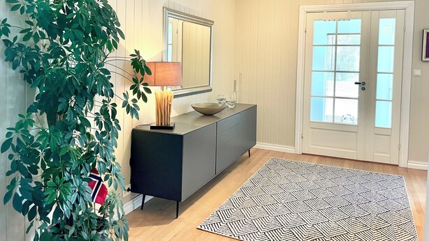 Een kamer met een donker kastje, een spiegel erboven, een kamerplant, een kamerkleed met een patroon, en een deur met geëtste glaspanelen.
