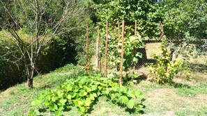 Property grounds - Karine's house (Siorac en perigord)