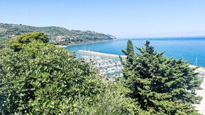 A coastal view with a marina, hills, and dense greenery.