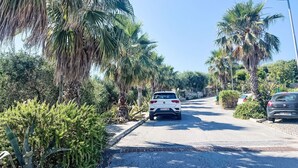 A street lined with palm trees and parked cars.