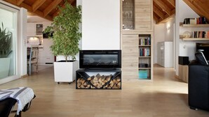 A modern living room with a wooden ceiling, a television, a bookshelf, and a potted plant. - Holiday Apartment Seemöwe with Conservatory, Balcony and Wi-Fi (Kressbronn am Bodensee)