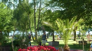 A lush garden with palm trees, a variety of plants, and a bench area. - Holiday Apartment Seemöwe with Conservatory, Balcony and Wi-Fi (Kressbronn am Bodensee)