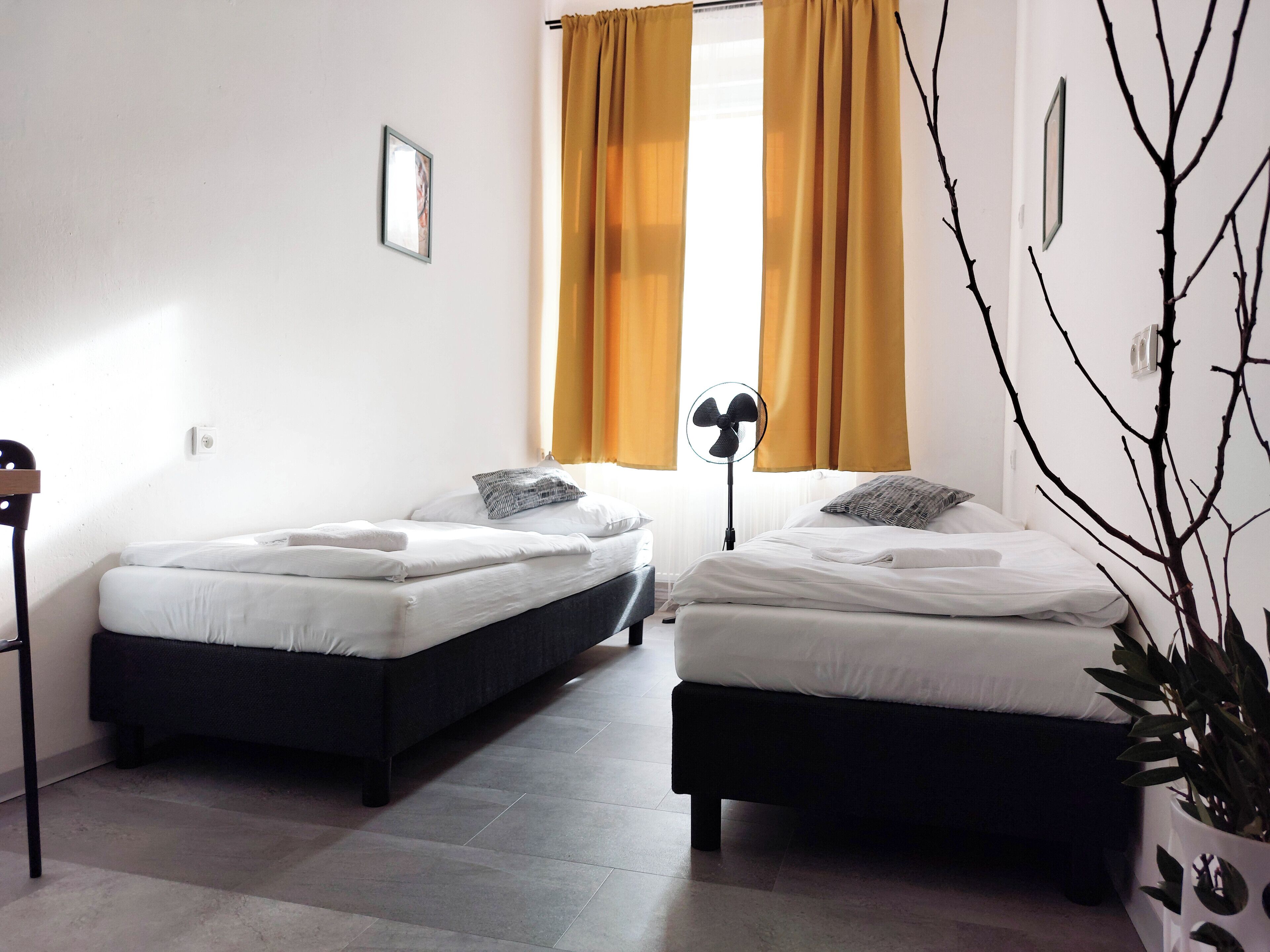 Une chambre double avec deux lits simples, un ventilateur sur pied, une plante en pot et une fenêtre avec des rideaux.