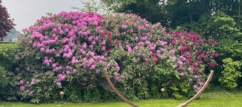 Maison de vacances kribbikrabba Butjadingen Mer du Nord