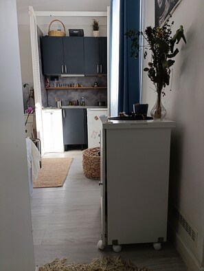 Fridge, oven, stovetop, electric kettle