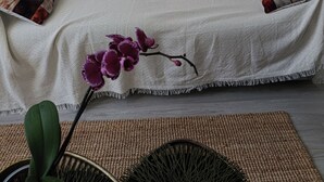 A white sofa with patterned pillows, a small potted plant, and a woven rug on a wooden floor.