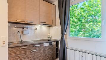 Fridge, oven, stovetop, electric kettle