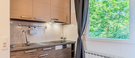 Fridge, oven, stovetop, electric kettle