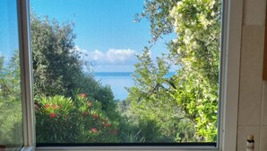 Eine Küche mit einem Doppelspüle, einem Fenster mit Blick auf Grünflächen und einem klaren Himmel.