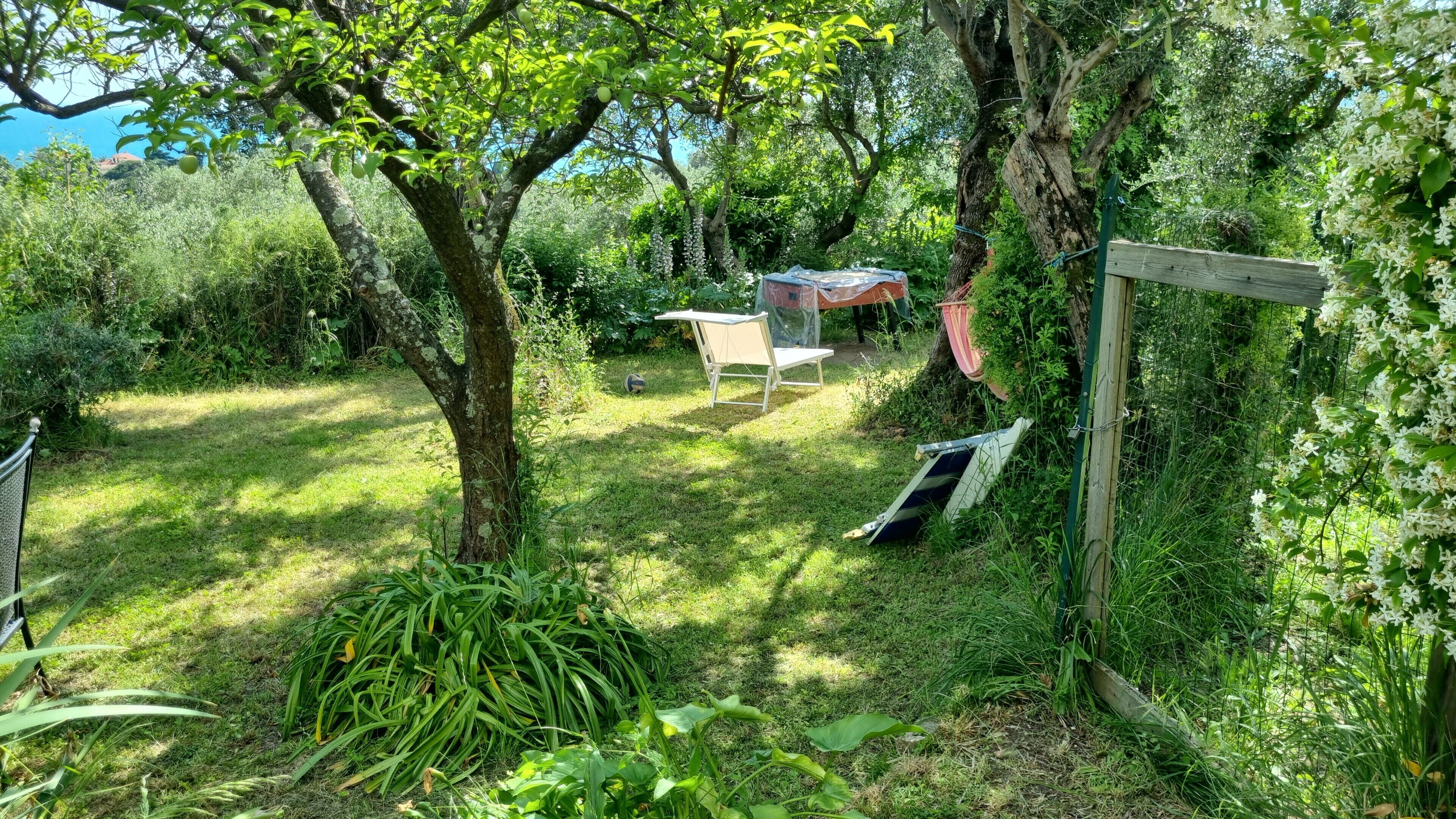 Áreas de la propiedad