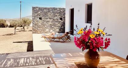 Villa Aria- A sanctuary for the modern soul