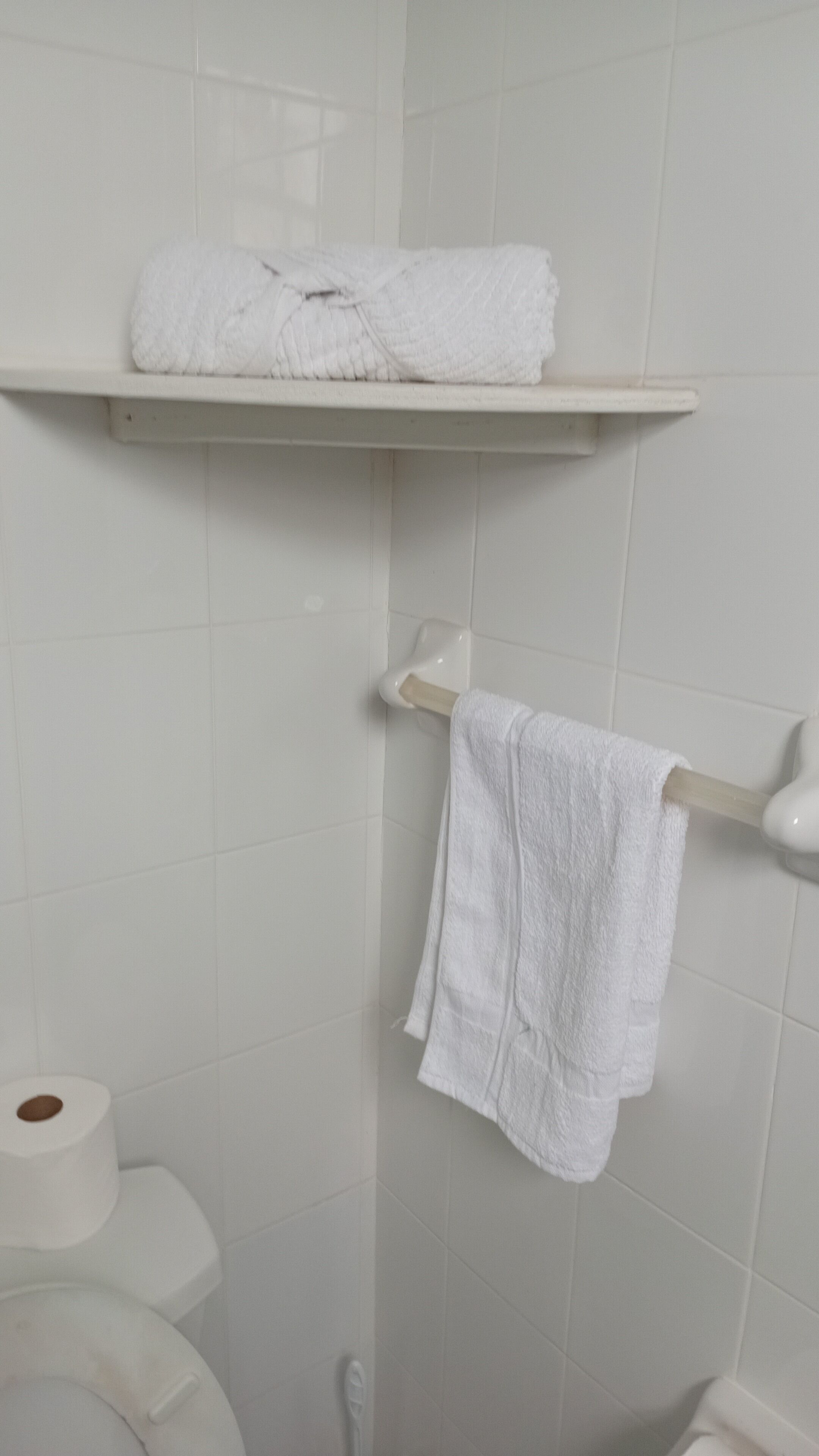 Une salle de bain comprenant des toilettes, un rouleau de papier toilette, un porte-serviettes avec une serviette, et une étagère avec des serviettes pliées.