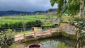 Ein Teich mit Steinmauern und einer Holzbrücke, umgeben von Grünpflanzen und einem Steinweg.