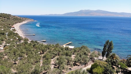 Aerial view. IDAOLEA.ASSOS