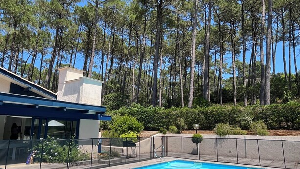 A swimming pool with a view of tall pine trees in the background.