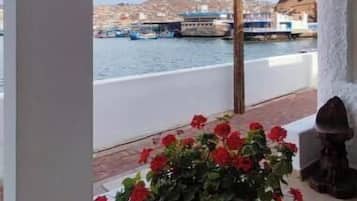 Terras