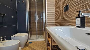 Shower, hair dryer, bidet, towels