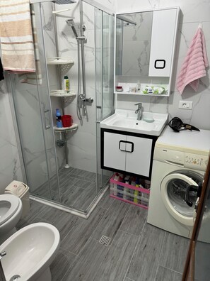 Shower, hair dryer, bidet, towels