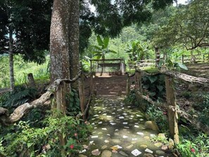 Àrea exterior de l'allotjament