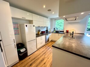 Kühlschrank, Ofen, Herdplatte, Geschirrspüler