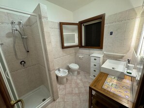 Shower, hair dryer, bidet, towels