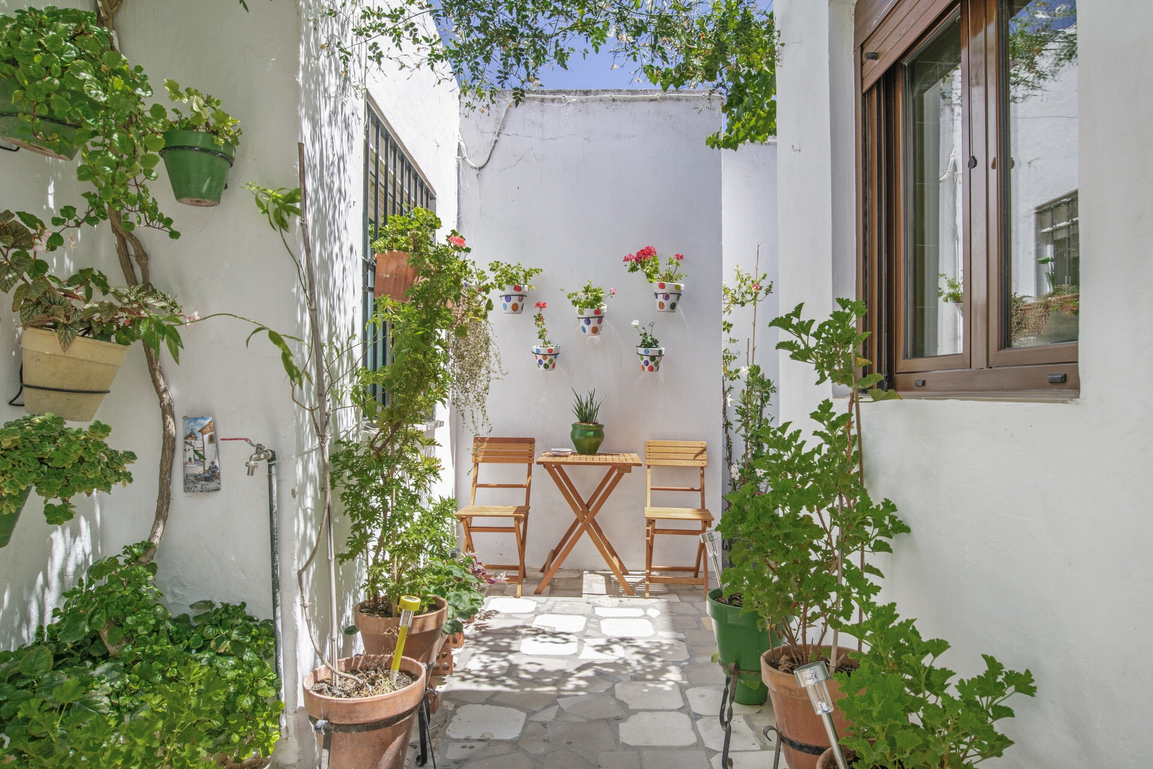 Terras