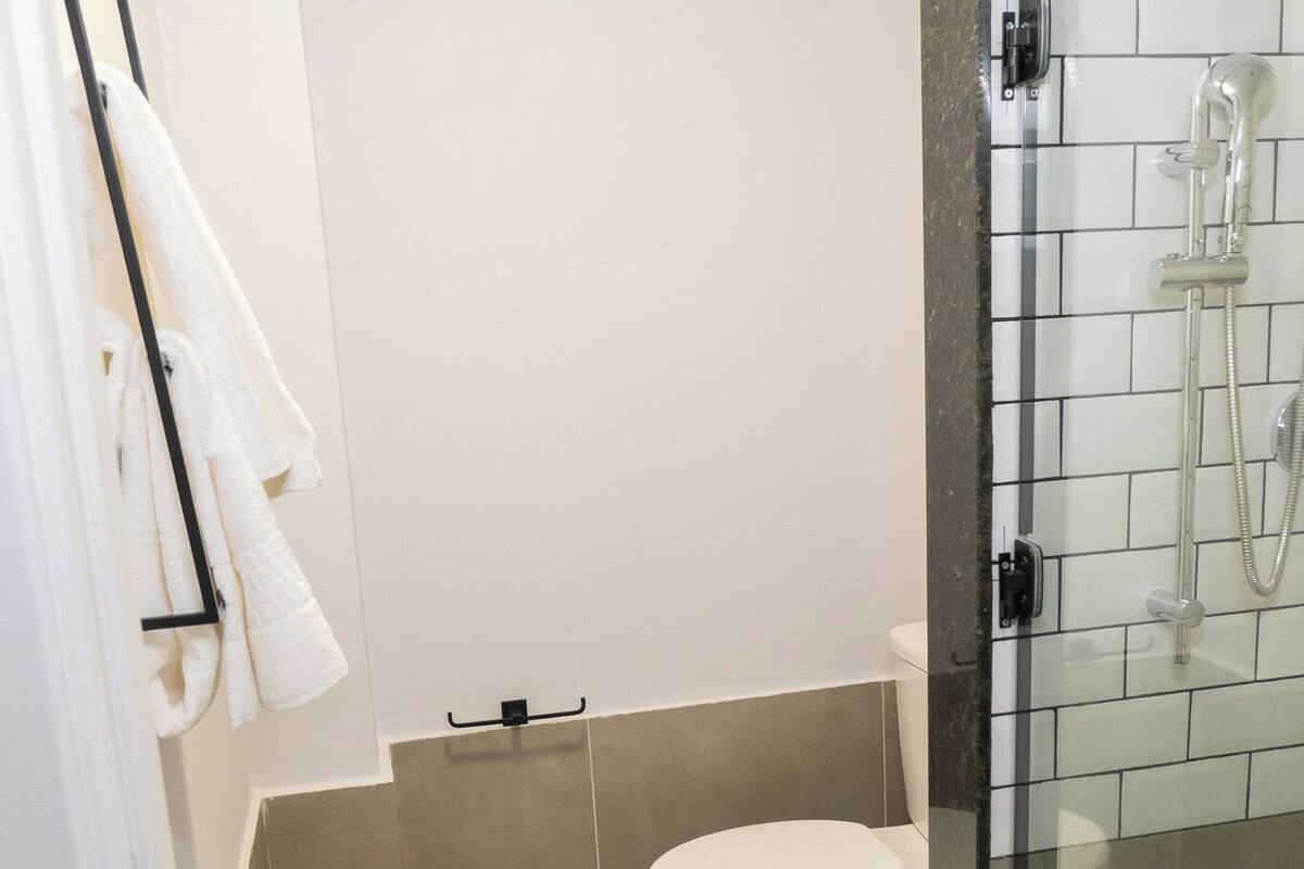 Hair dryer, towels, soap, shampoo