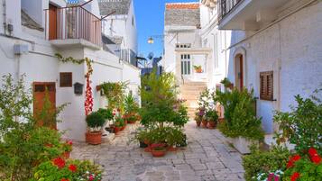 Jardines del alojamiento