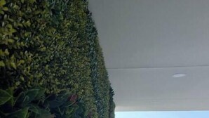 Un intérieur moderne avec un mur vert et une vue sur un immeuble de grande hauteur.
