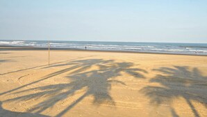A beach with a sandy shore and palm tree shadows.