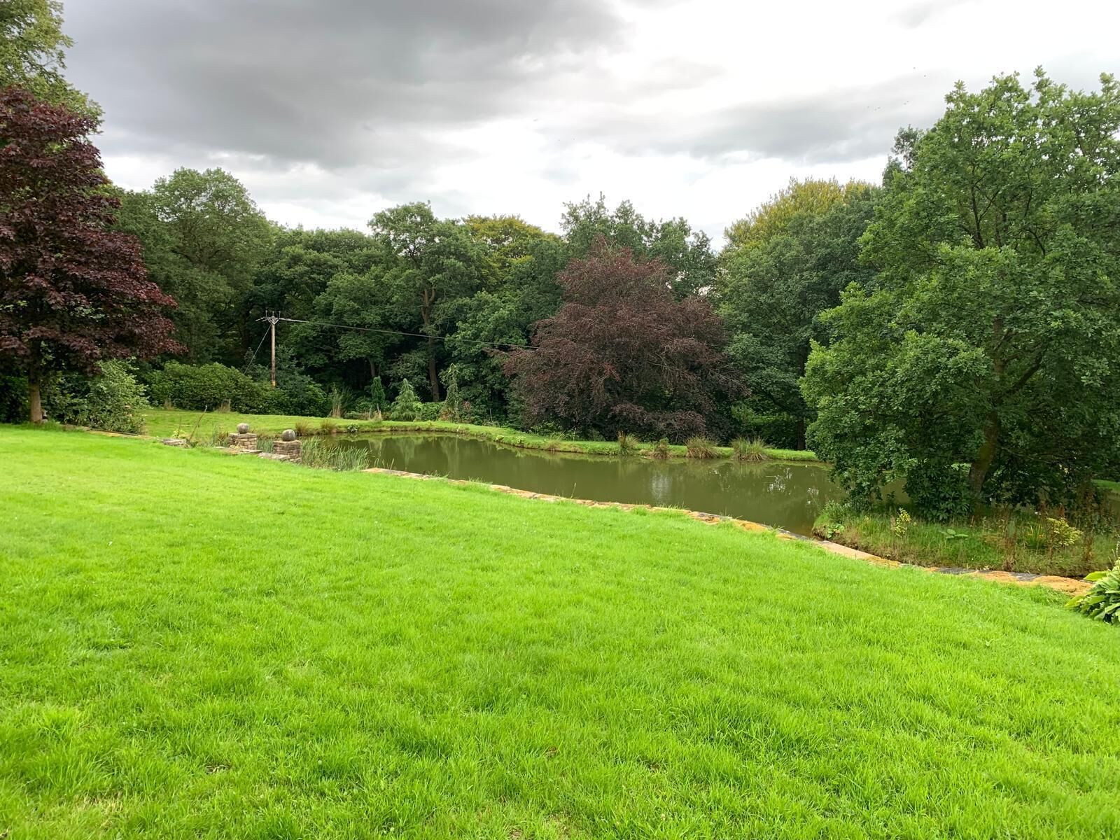 Un parque tranquilo con un estanque, césped verde exuberante y árboles frondosos.