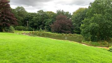 Un parque tranquilo con un estanque, césped verde exuberante y árboles frondosos.
