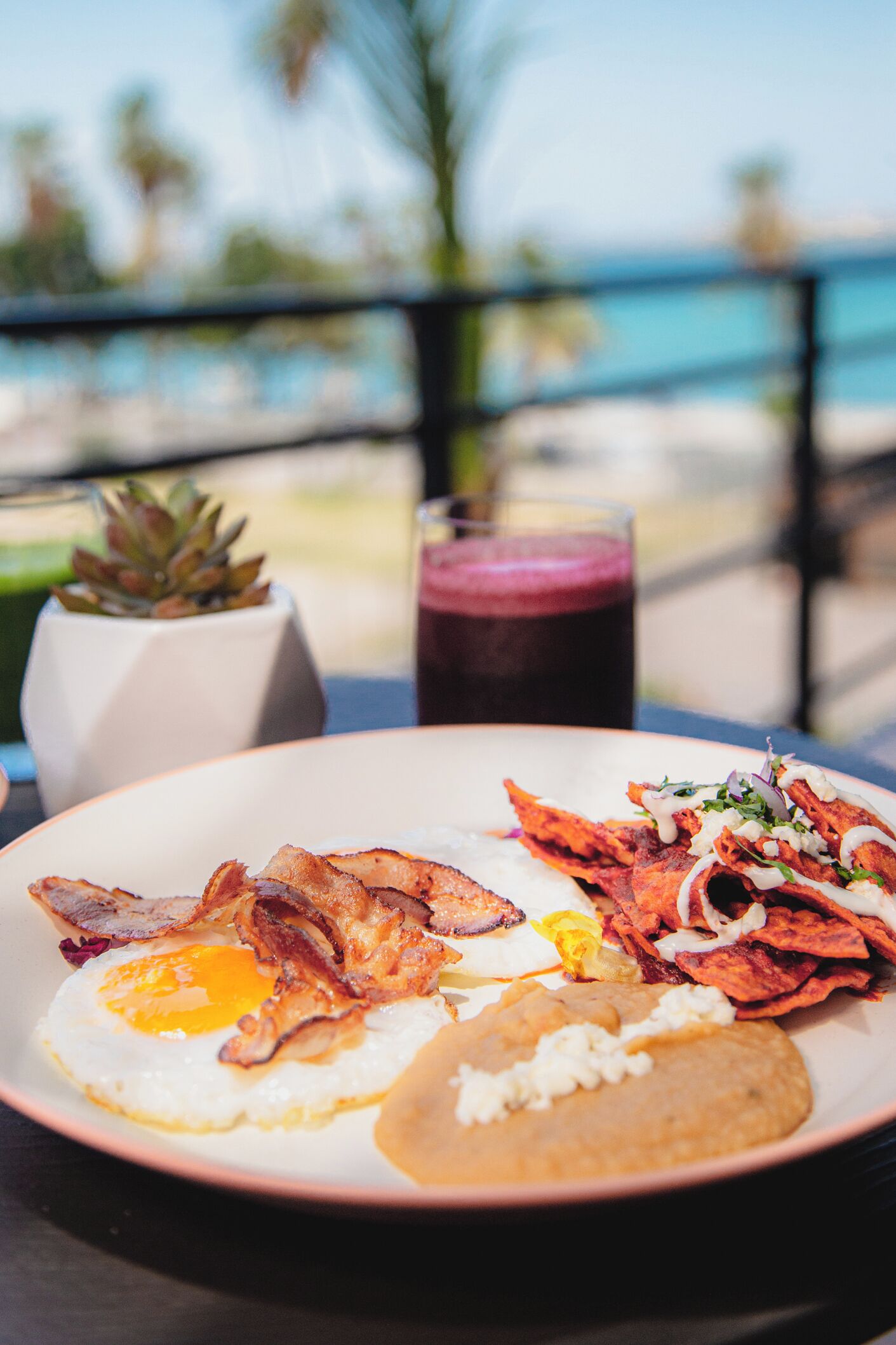 A breakfast plate with eggs, bacon, and beans, a glass of smoothie, and a succulent plant on a table with a view of the ocean.